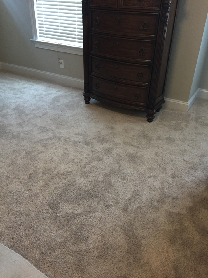 Master Bedroom Floor: Beaulieu Carpet