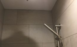 mares_bathroom-remodel_shower-04